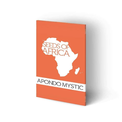 Apondo Mystic Cannabis Seeds | Seeds of Africa | Regular Sativa