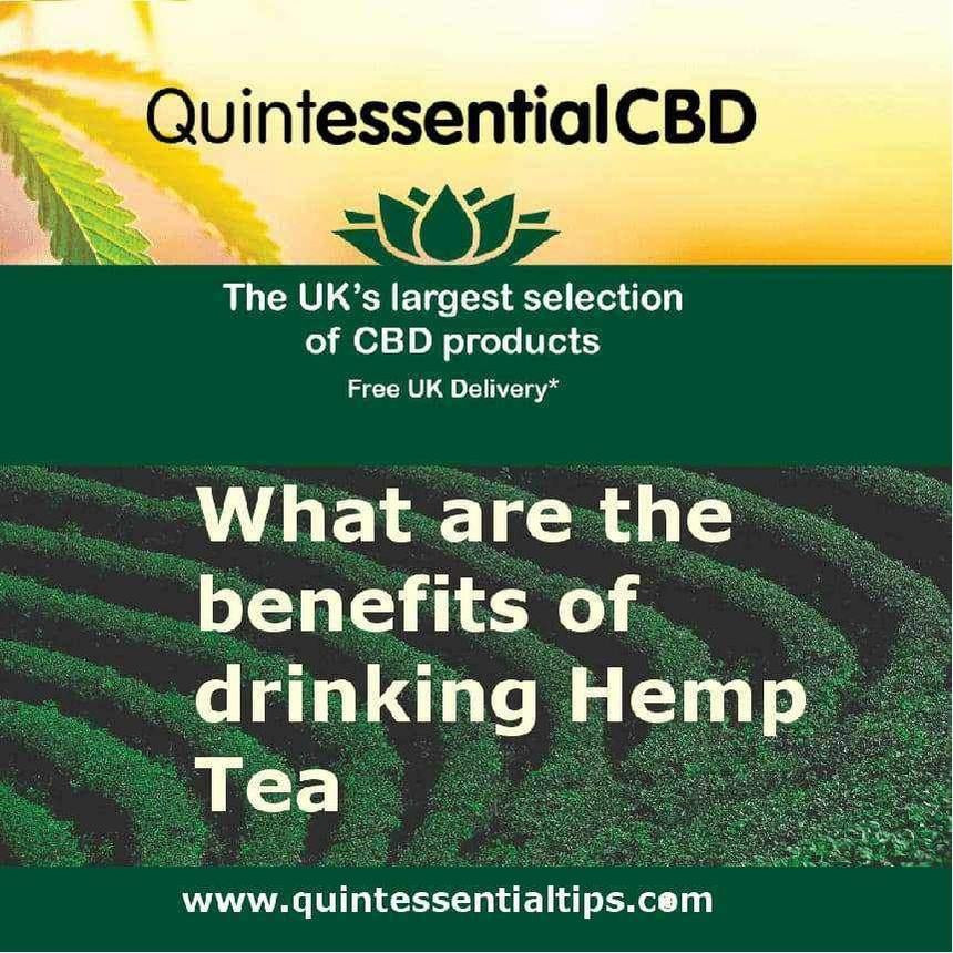 We drink CBD Tea Everyday but what are the benefits? – Quintessential Tips