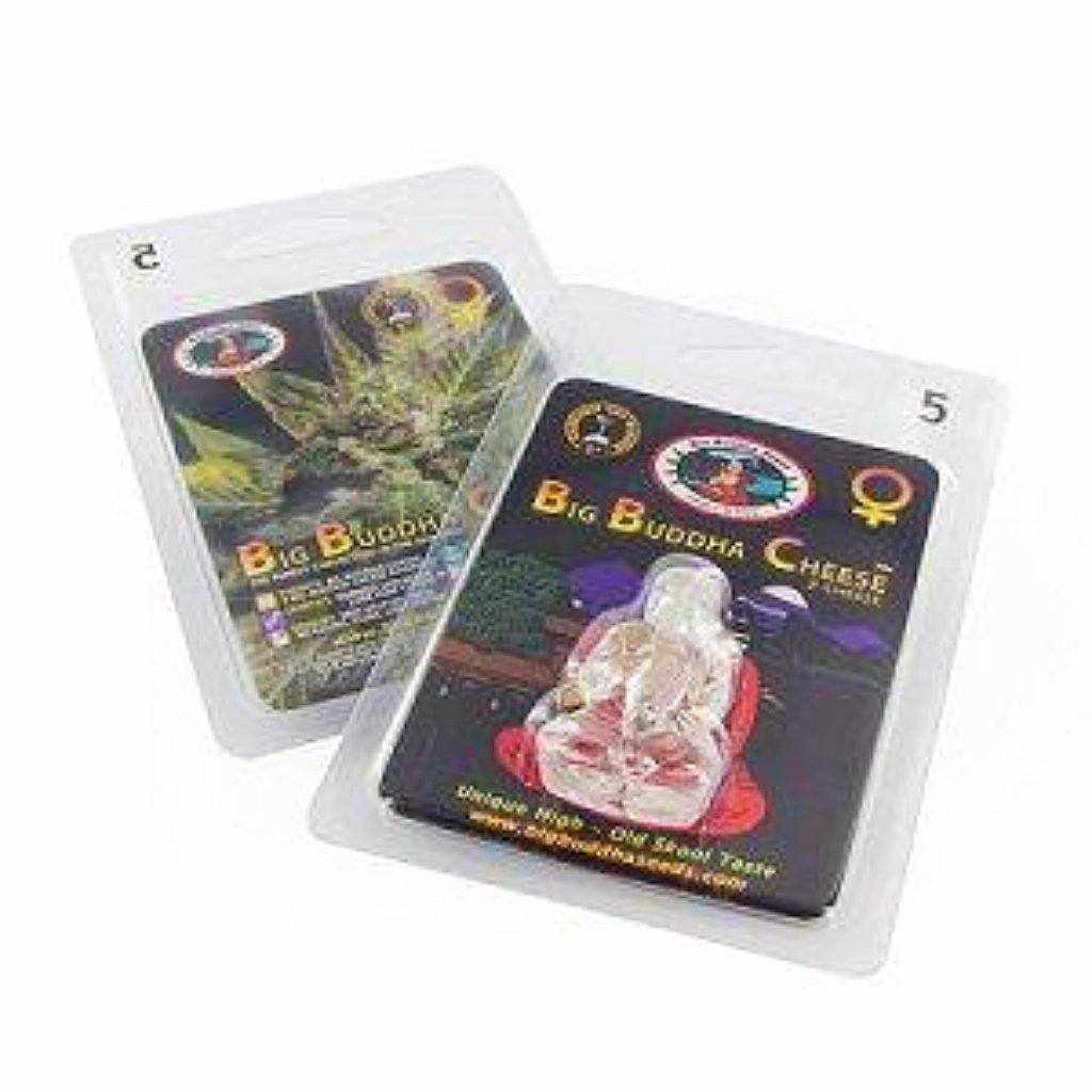 Original Feminised Cheese Seeds-Cannabis Seeds-Big Buddha Seed Company-Quintessential Tips