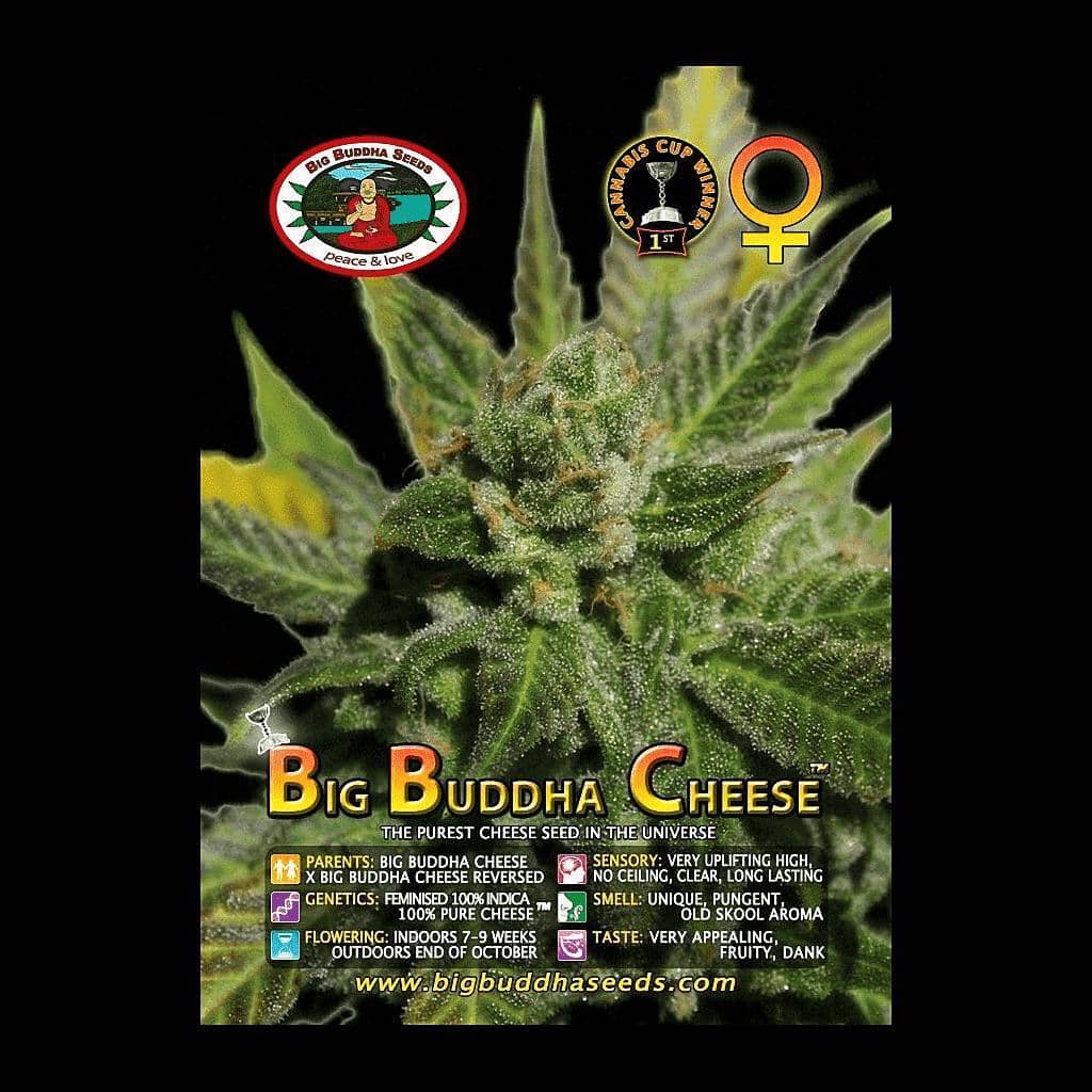 Original Feminised Cheese Seeds