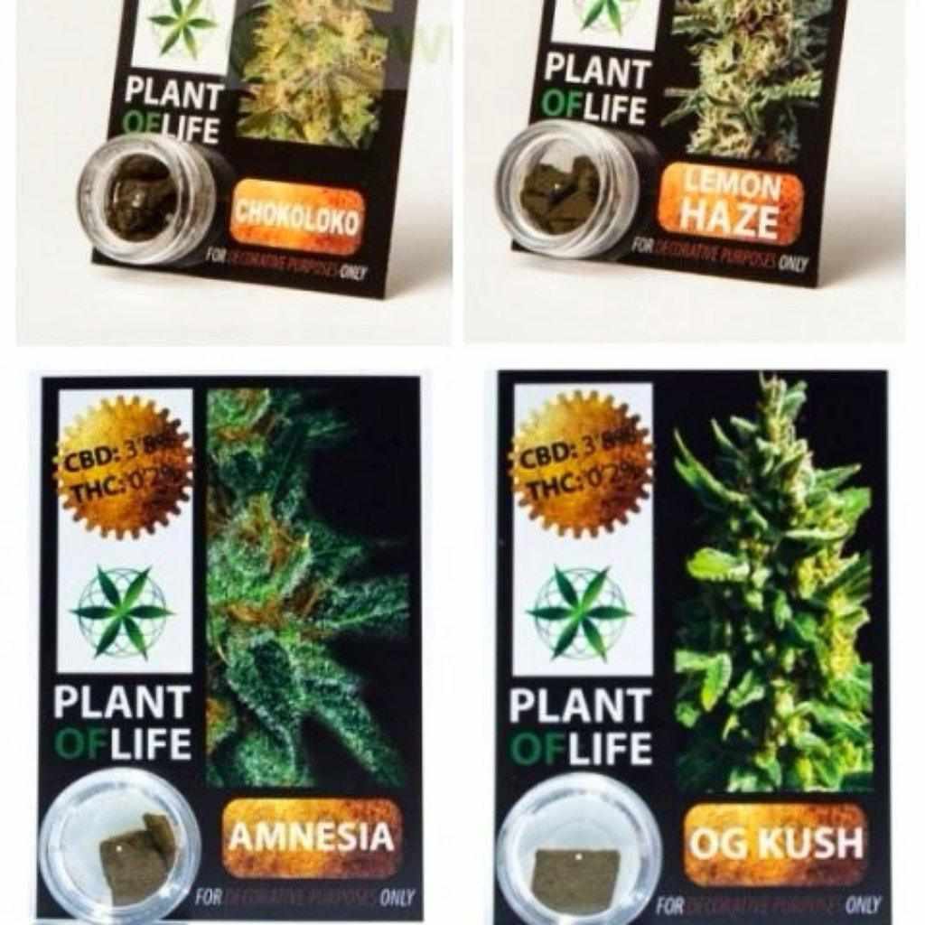CBD Hashish UK - Plant Of Life Resin