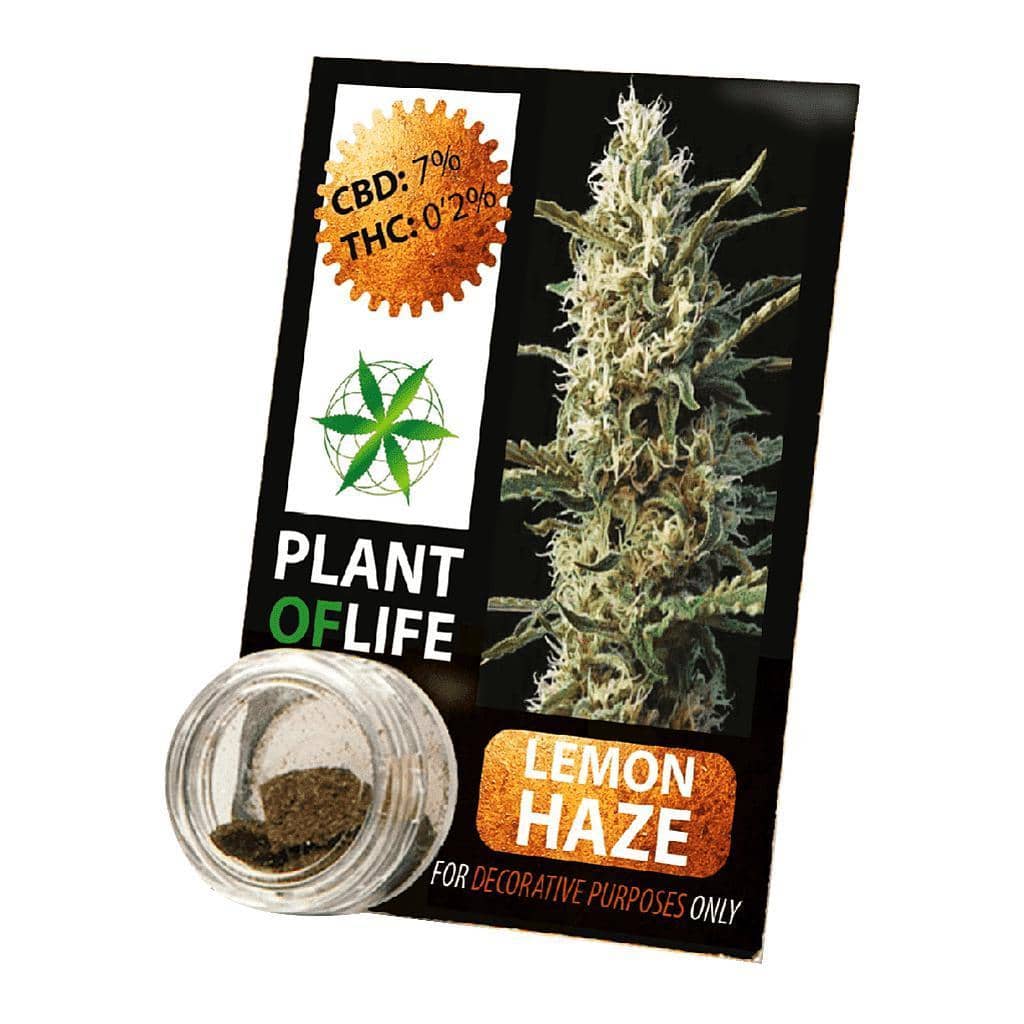 CBD Hashish UK - Plant Of Life Resin