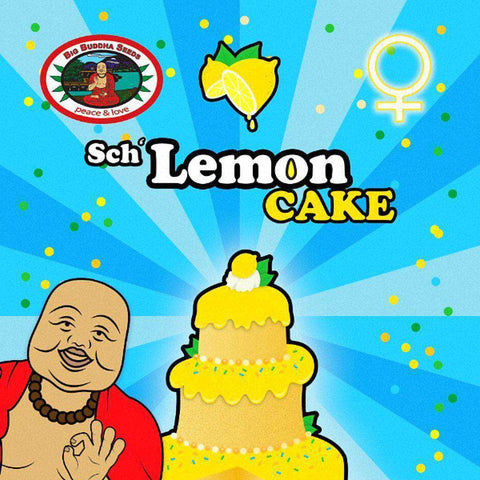 SCH' LEMON CAKE®™ Cannabis Seeds |  Big Buddha Original Feminised Seeds