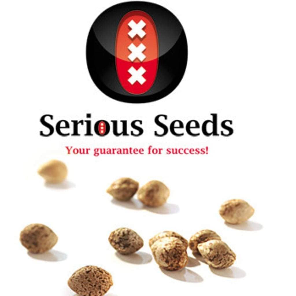 6 Seed Pack