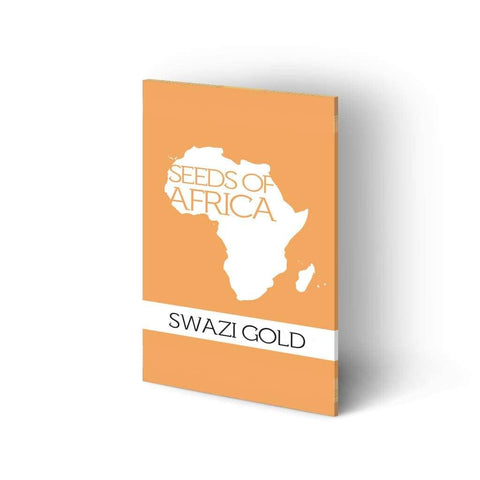 Swazi Gold Cannabis Seeds | Seeds of Africa | Regular Sativa