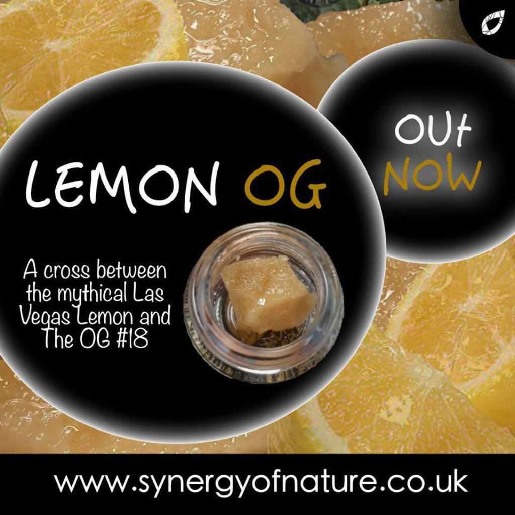 Lemon OG Shatter, Wax Crumble UK